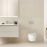 One Wall Mounted Rimless WC And Seat