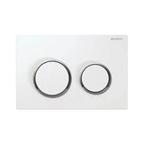 Omega20 Dual Flush Plate