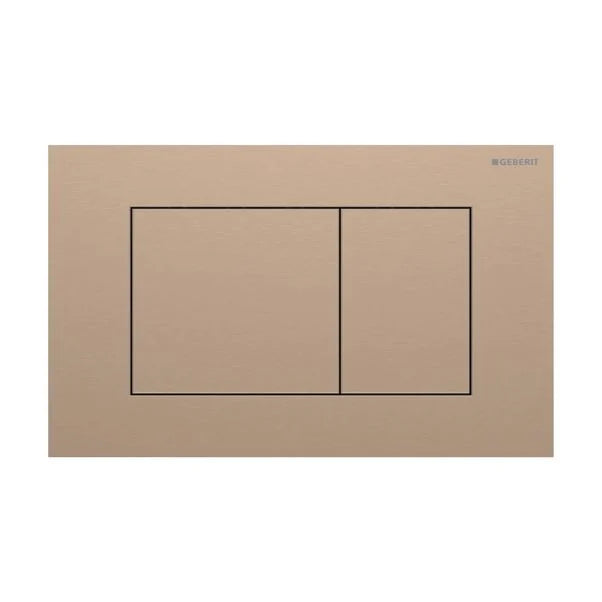 Sigma40 Dual Flush Plate