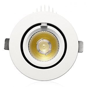 Cob Light 30w