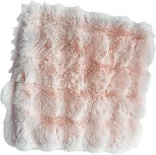 FFO10-23 Decorative Pillow Cover