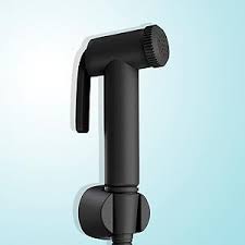 Delta Modern Contemporary Bidet Spray