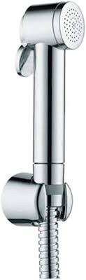Paloma Hand Shower Chrome