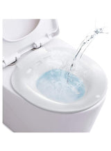 SYOSI Sitz Bath for Toilet Seat