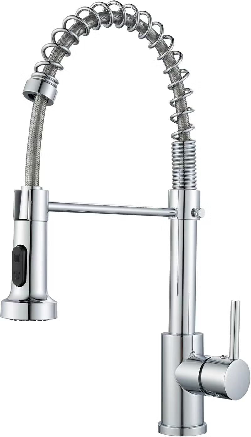 BRIMIX Professional Kitchen Sink Faucet with Pull-Out Sprayer