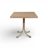 CT063 Palmiye Rattan Table (Fixed Style, Dark Brown / Cappuccino)