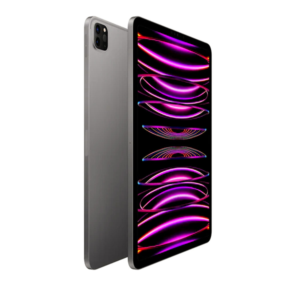 Ipad Pro11 M2 (2022) - Space 1tb