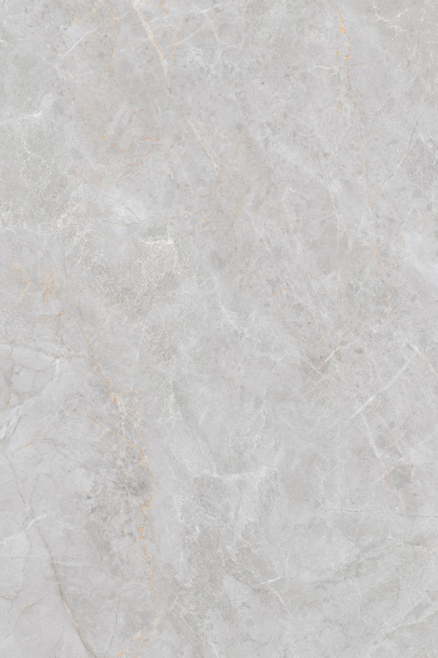 Tile-Grey Amazon - Polished