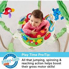 Jumperoo Baby Activity Jumper