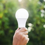 Max LED Bulb A70 M-B1114-A 12W E27 WW
