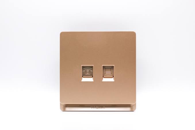 FE489 V5 Champagne Gold V5-022 Telephone + Data Socket