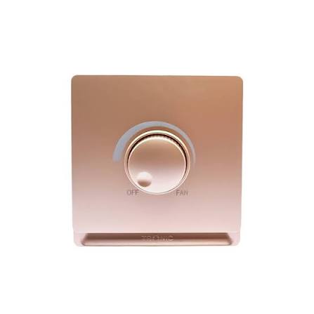 FE250 V5 Champagne Gold V5-033 Speed Controller Switch