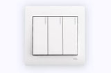 W006-P 3G 2W Switch 250V 10A