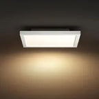 Led Panel Light D Light 6w Ivory BoB Lights