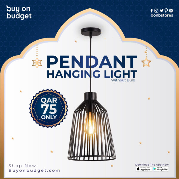 Pendant Hanging Light X150