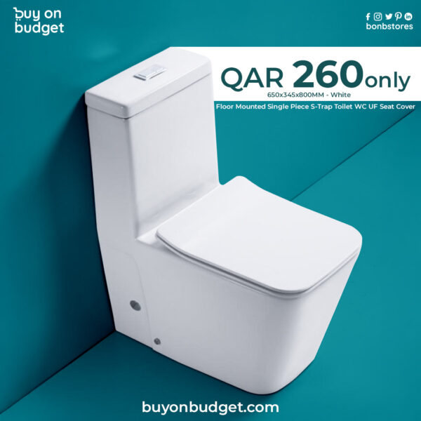 Single Piece S Trap Toilet – White