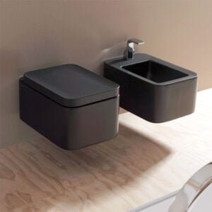 NILE Wall Hung WC With Go Clean System Graphite Color