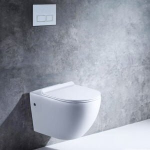 SMO Wall Hung WC White Color