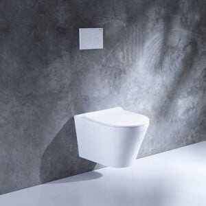 SMO Wall Hung WC White Color