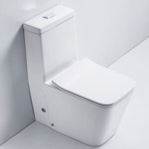 Bathx Italian Standard Single Piece S Trap White Color