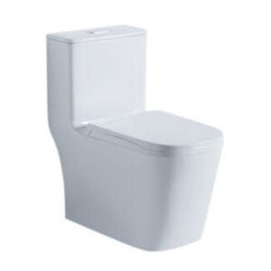 Siphonic One-Piece-Toilet-S-Trap White Color