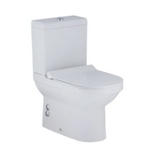 Back To Wall Toilet White Color