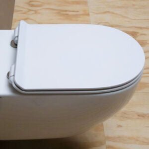 SOFT CLOSING THERMOSETTING SEAT & COVER WITH QUICK RELEASE HINGE MATT LATTE MILKY WHITE Color