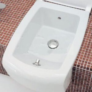 Semi Inset WC White Glossy Color