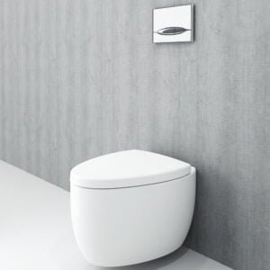 Wall Hung Toilet WC Pan Etna Glossy White Color