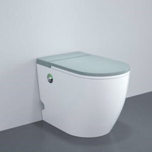 Pulse floor mounted toilet with uf seat cover