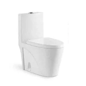 Bathx Single Piece S-Trap Toilet 670x355x850MM - White 