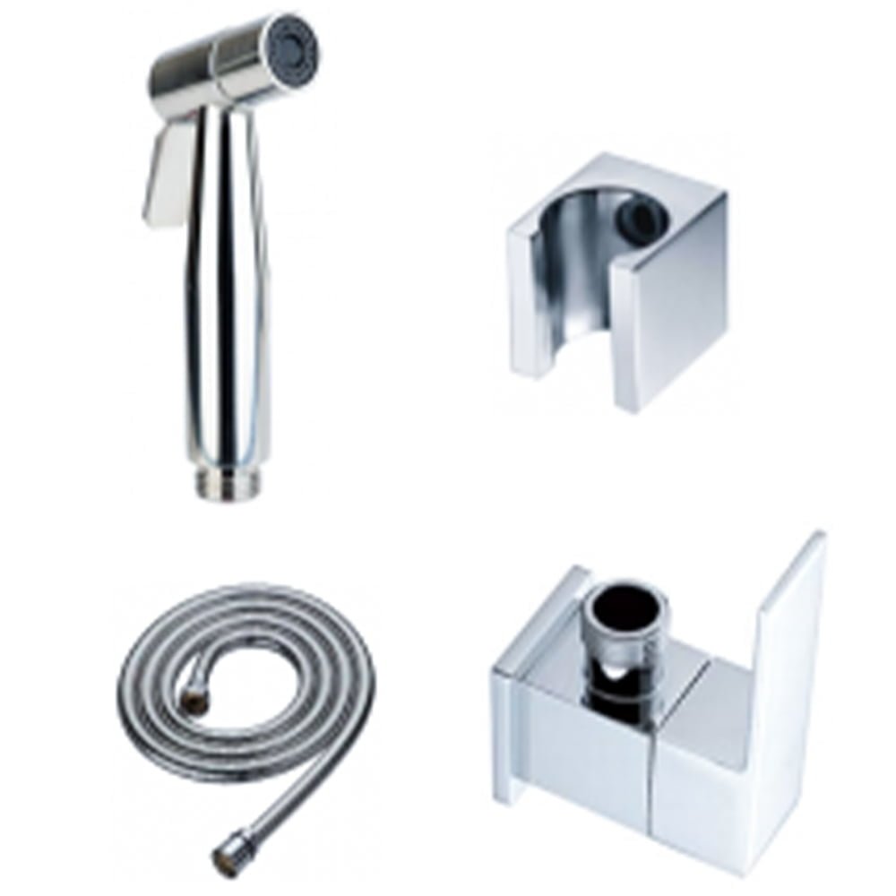 Spray Shower Set Chrome Color