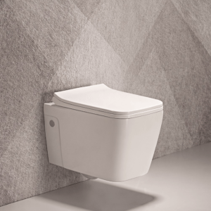 Wall Hung Toilet White Color