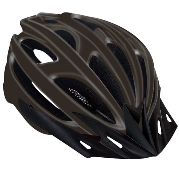 Professional Bicycle Helmet