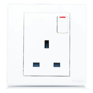 Switched Socket Gold Panel