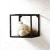 Wall Shelf Black Color