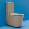 Close Coupled Toilet Nut Brown Color