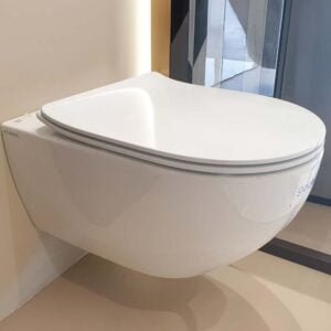 Wall Hung Toilet Glossy White Color