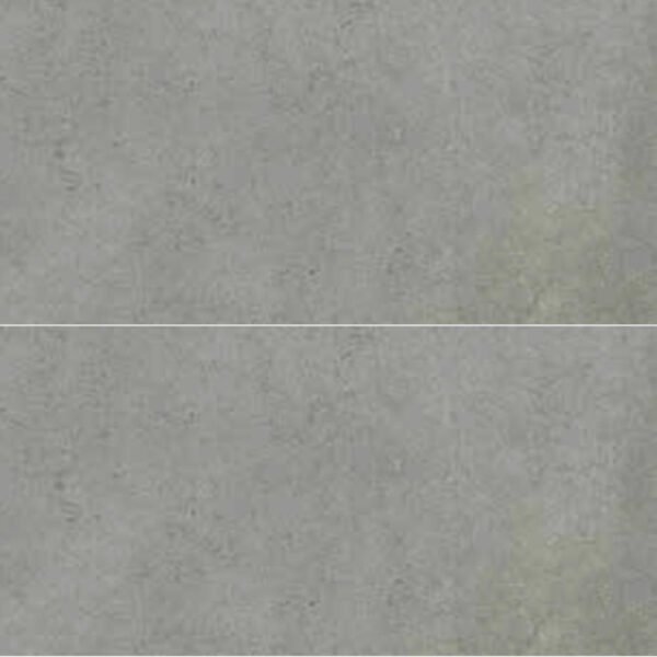 1200x600 Cool Grey Matte Floor and Wall Tile