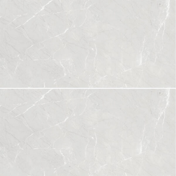 1200x600 Prozzo Floor and Wall Tile