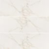 400x1200 - Delta Gold Wall Tile