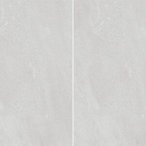 600x900 Earthen Grey Floor and Wall Tile (1,0.54)