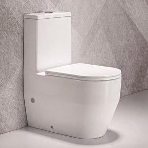 Bathx Single Piece S-Trap Toilet 670x355x850MM - White