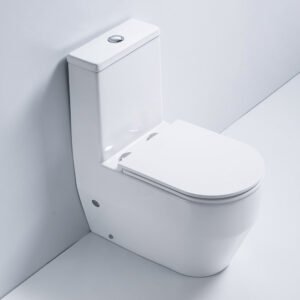 Bathx Single Piece S-Trap Toilet 670x355x850MM - White