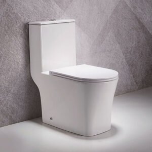 Floor mounted S-trap Toilet 250MM UF Seat cover 705x365x780MM - White