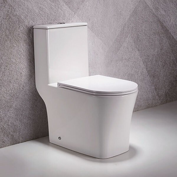 Floor mounted S-trap Toilet 250MM UF Seat cover 705x365x780MM - White