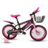 Kids Bicycle 14″
