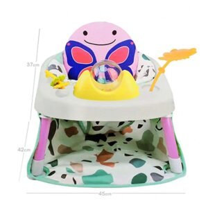 2in1 Baby Fitness Chair