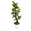 Artificial Pine Bonsai Tree for Home Decor