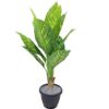 EverGreen Craft Plants